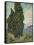 Van Gogh, Cypresses-null-Framed Stretched Canvas