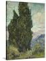 Van Gogh, Cypresses-null-Stretched Canvas