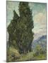 Van Gogh, Cypresses-null-Mounted Giclee Print