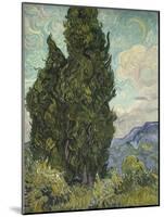 Van Gogh, Cypresses-null-Mounted Giclee Print