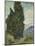 Van Gogh, Cypresses-null-Mounted Giclee Print