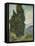 Van Gogh, Cypresses-null-Framed Stretched Canvas