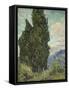 Van Gogh, Cypresses-null-Framed Stretched Canvas