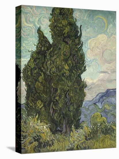 Van Gogh, Cypresses-null-Stretched Canvas