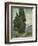 Van Gogh, Cypresses-null-Framed Giclee Print