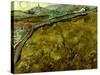 Van Gogh: Field, 1890-Vincent van Gogh-Stretched Canvas