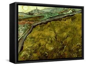 Van Gogh: Field, 1890-Vincent van Gogh-Framed Stretched Canvas