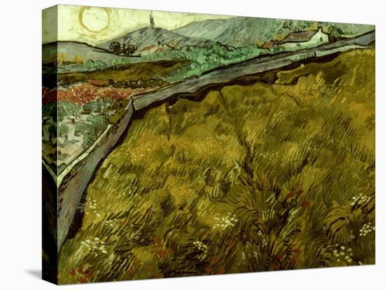 Van Gogh: Field, 1890-Vincent van Gogh-Stretched Canvas