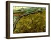 Van Gogh: Field, 1890-Vincent van Gogh-Framed Giclee Print