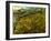 Van Gogh: Field, 1890-Vincent van Gogh-Framed Giclee Print