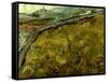 Van Gogh: Field, 1890-Vincent van Gogh-Framed Stretched Canvas