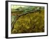 Van Gogh: Field, 1890-Vincent van Gogh-Framed Giclee Print