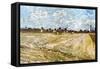 Van Gogh: Fields, 1888-Vincent van Gogh-Framed Stretched Canvas