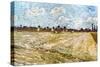Van Gogh: Fields, 1888-Vincent van Gogh-Stretched Canvas