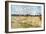 Van Gogh: Fields, 1888-Vincent van Gogh-Framed Giclee Print