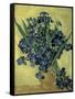 Van Gogh, Irises(1890)-null-Framed Stretched Canvas