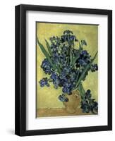 Van Gogh, Irises(1890)-null-Framed Premium Giclee Print