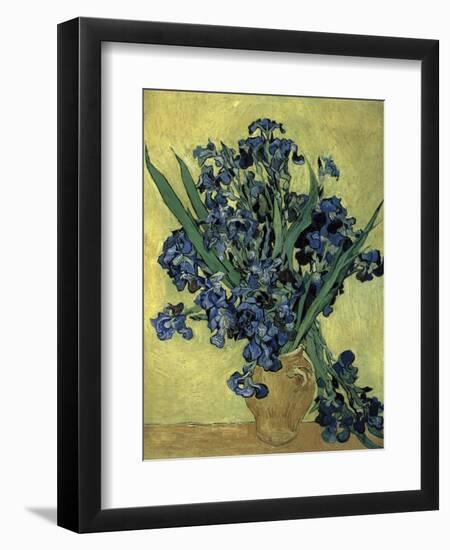 Van Gogh, Irises(1890)-null-Framed Premium Giclee Print