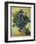 Van Gogh, Irises(1890)-null-Framed Premium Giclee Print