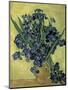 Van Gogh, Irises(1890)-null-Mounted Premium Giclee Print