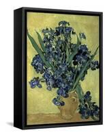 Van Gogh, Irises(1890)-null-Framed Stretched Canvas