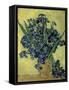 Van Gogh, Irises(1890)-null-Framed Stretched Canvas