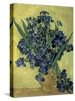 Van Gogh, Irises(1890)-null-Stretched Canvas