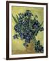 Van Gogh, Irises(1890)-null-Framed Giclee Print