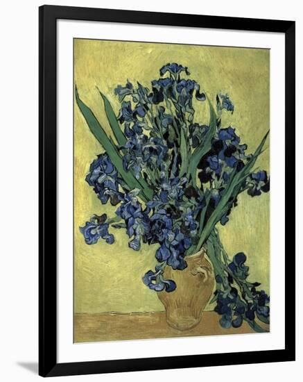 Van Gogh, Irises(1890)-null-Framed Giclee Print