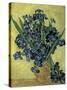 Van Gogh, Irises(1890)-null-Stretched Canvas