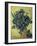 Van Gogh, Irises(1890)-null-Framed Giclee Print