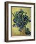 Van Gogh, Irises(1890)-null-Framed Giclee Print