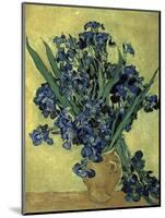 Van Gogh, Irises(1890)-null-Mounted Giclee Print