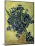Van Gogh, Irises(1890)-null-Mounted Giclee Print
