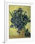 Van Gogh, Irises(1890)-null-Framed Giclee Print