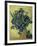 Van Gogh, Irises(1890)-null-Framed Giclee Print