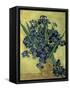 Van Gogh, Irises(1890)-null-Framed Stretched Canvas