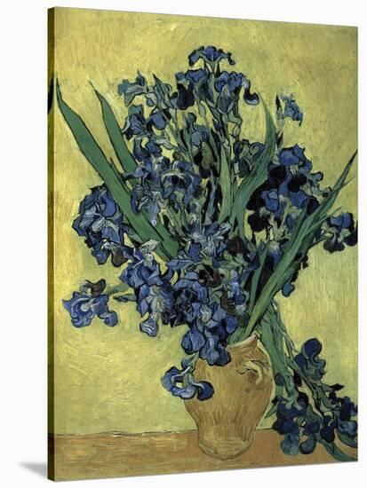 Van Gogh, Irises(1890)-null-Stretched Canvas