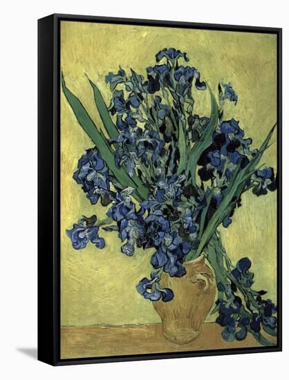 Van Gogh, Irises(1890)-null-Framed Stretched Canvas