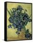 Van Gogh, Irises(1890)-null-Framed Stretched Canvas