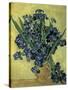 Van Gogh, Irises(1890)-null-Stretched Canvas