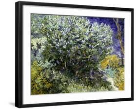 Van Gogh: Lilacs, 19Th C-Vincent van Gogh-Framed Giclee Print