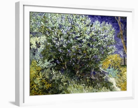 Van Gogh: Lilacs, 19Th C-Vincent van Gogh-Framed Giclee Print
