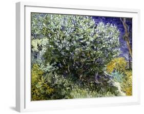 Van Gogh: Lilacs, 19Th C-Vincent van Gogh-Framed Giclee Print