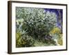 Van Gogh: Lilacs, 19Th C-Vincent van Gogh-Framed Giclee Print