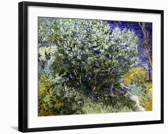 Van Gogh: Lilacs, 19Th C-Vincent van Gogh-Framed Giclee Print