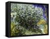 Van Gogh: Lilacs, 19Th C-Vincent van Gogh-Framed Stretched Canvas