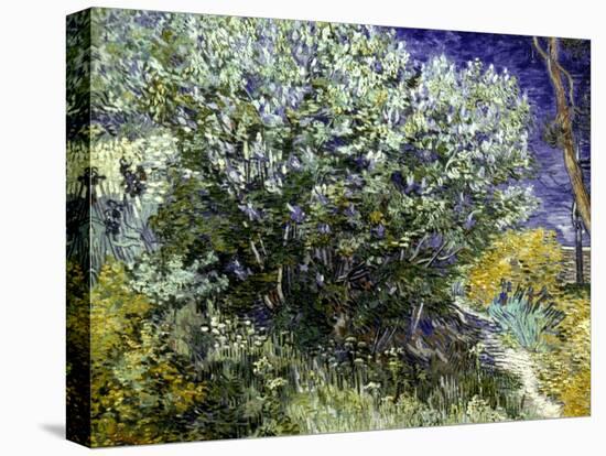 Van Gogh: Lilacs, 19Th C-Vincent van Gogh-Stretched Canvas