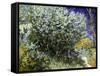 Van Gogh: Lilacs, 19Th C-Vincent van Gogh-Framed Stretched Canvas