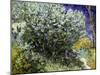 Van Gogh: Lilacs, 19Th C-Vincent van Gogh-Mounted Giclee Print